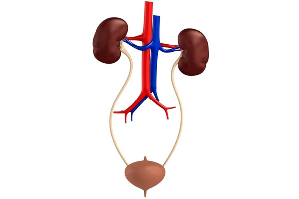 Urology Treatment
